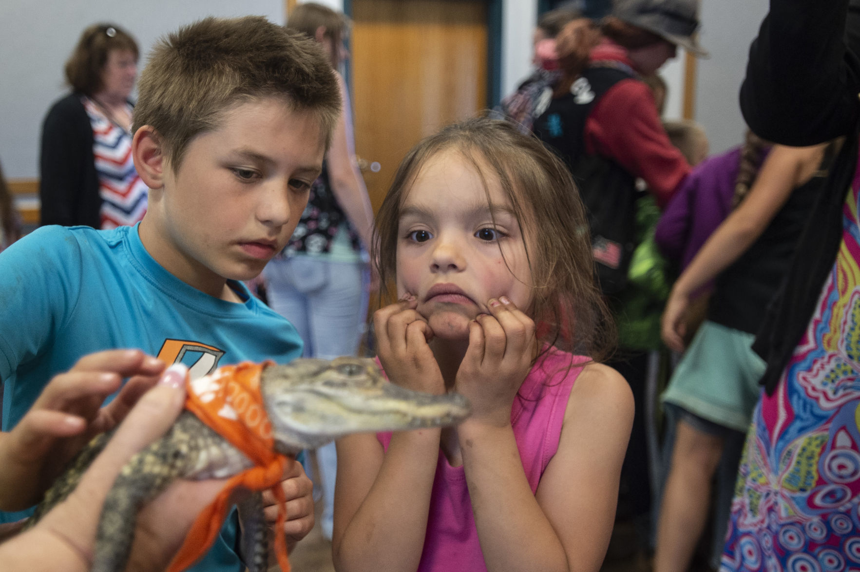 Reptile Rescue